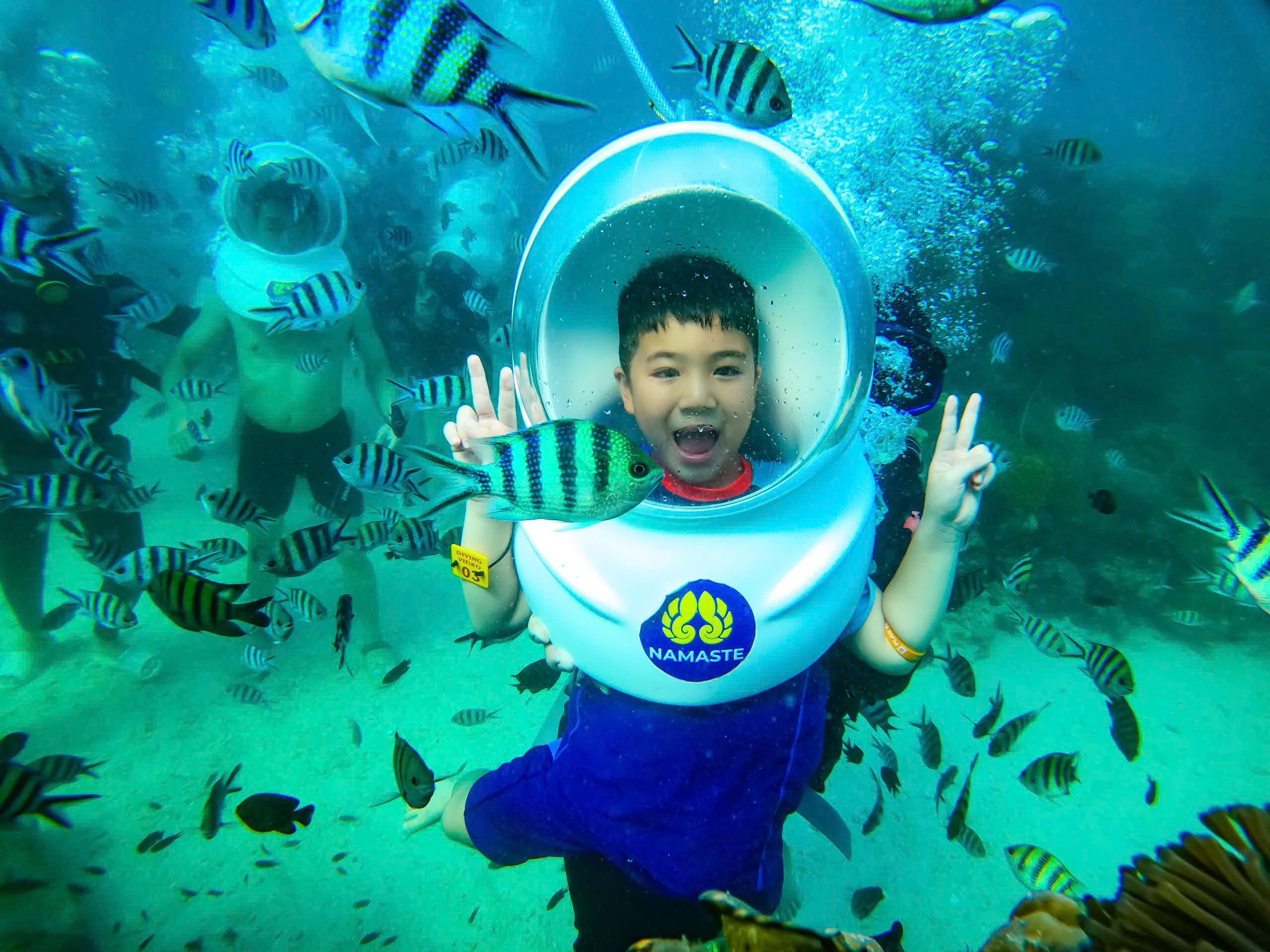 Đi bộ dưới biển có gì dặc biệt?