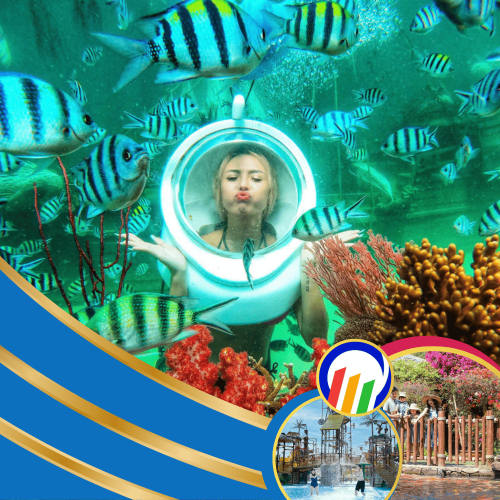 Cáp Treo Hòn Thơm + Đi Bộ Dưới Biển Ngắm San Hô - Combo VIP (Có Buffet) (1 Người Lớn)