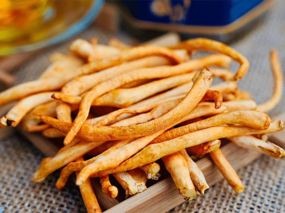 Đông Trùng Hạ Thảo