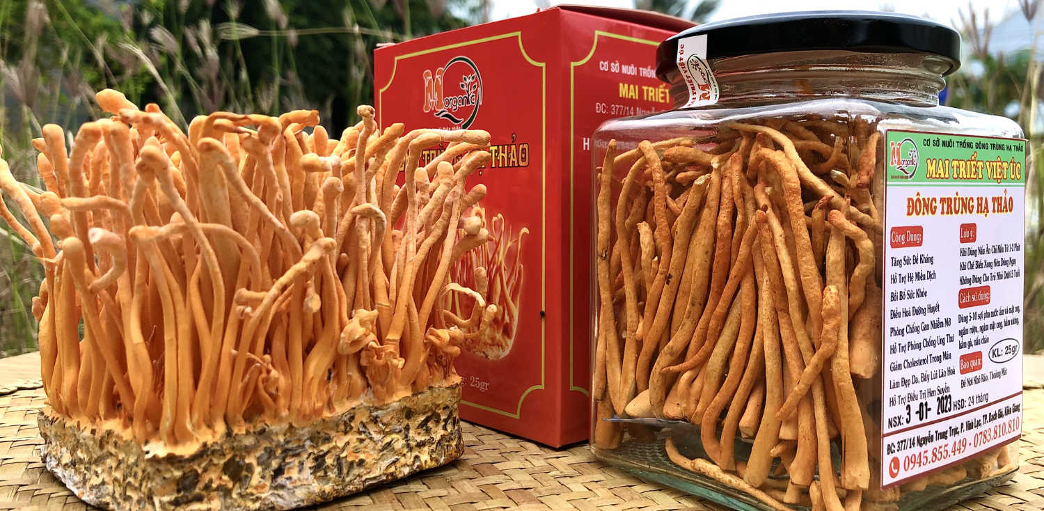 Đông Trùng Hạ Thảo Sấy Khô 25gram