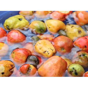 Mắm Trái Điều Và Những Lợi Ích Không Thể Ngờ